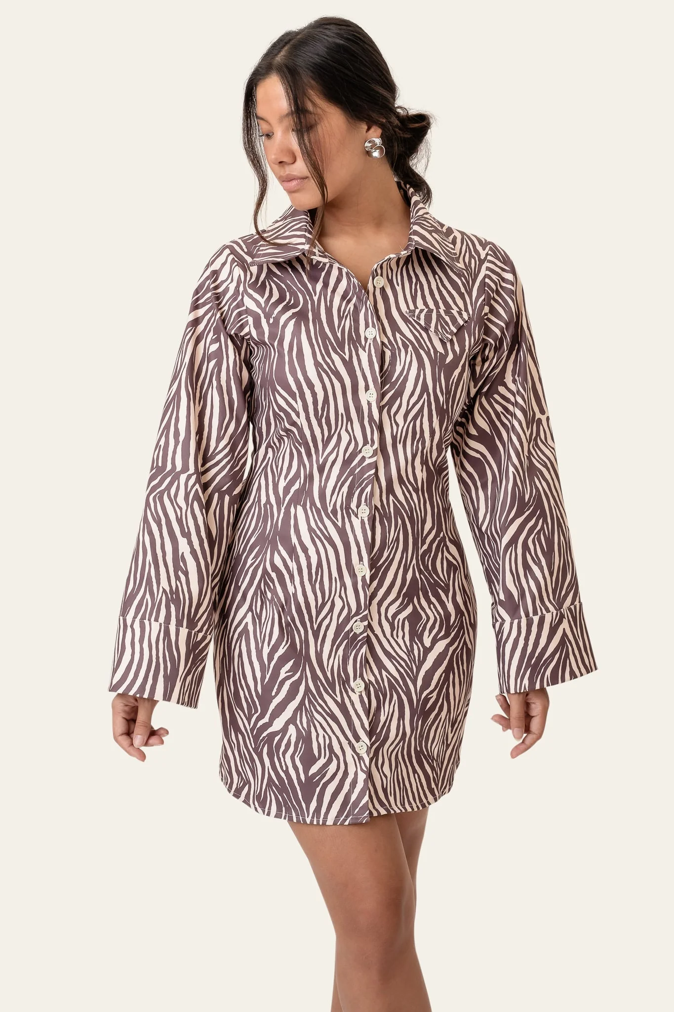 MaryIC Dress - Brown Zebra - Image 2