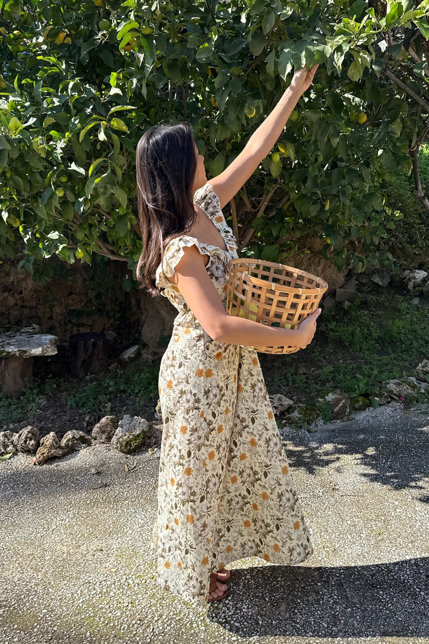 MelbaIC Dress - Garden Flower - Image 4